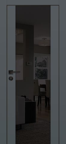 PX-7 PP графит, 600*2000 ст.зеркало тонированное /врезка под петли и замок/ черная кромка с 4-х ст