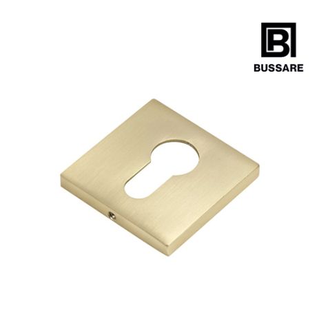 BUSSARE накладка на цилиндр  B0-40 W.GOLD Валлийское золото/Квадрат/