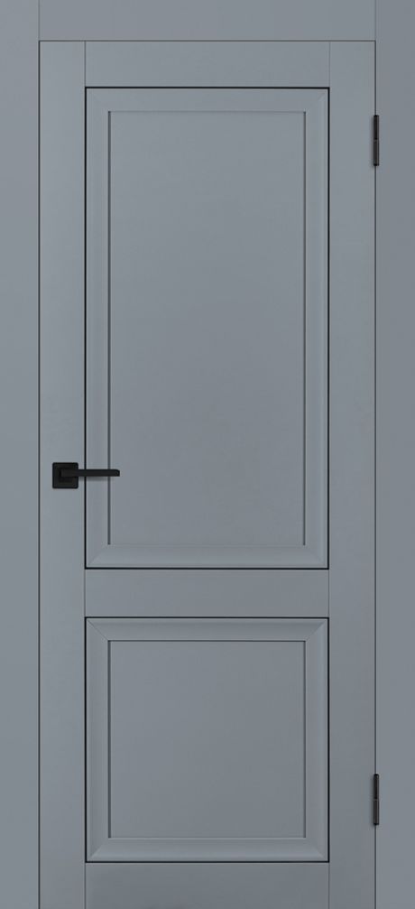PSТ-38 PET серый матовый ДГ 800*2000