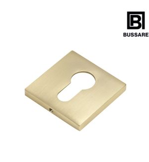 BUSSARE накладка на цилиндр  B0-40 W.GOLD Валлийское золото/Квадрат/