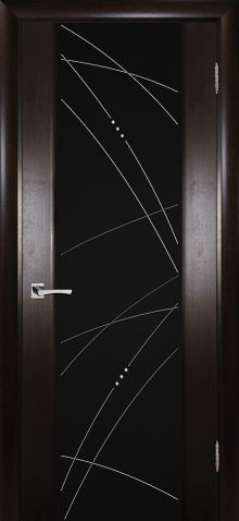 Страто 02 Черный дуб тонированный, ст.черный триплекс гравировка Роса 800*2000 лев. 